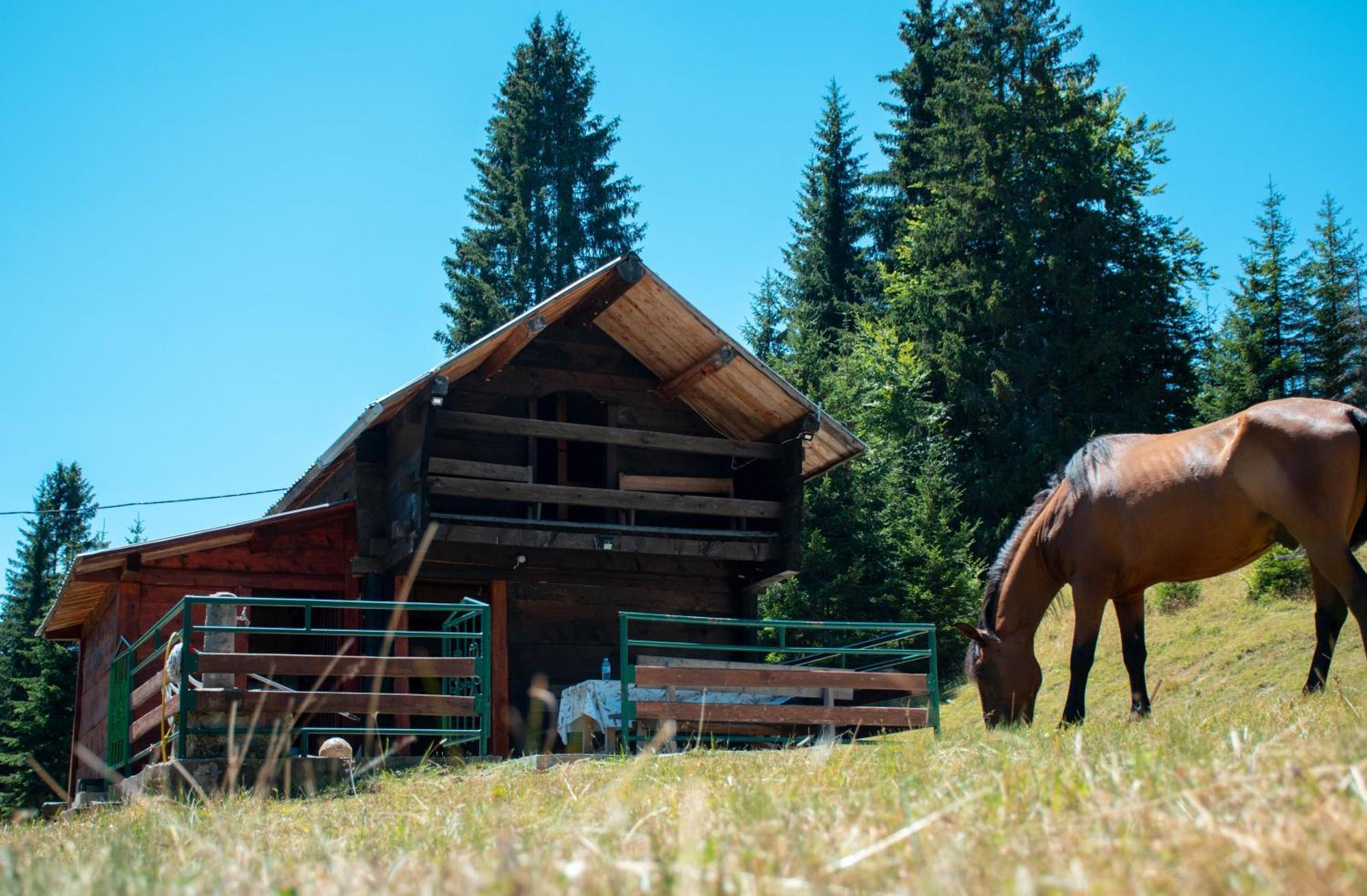 Chalet Koliba Marijanovic Andrijevica